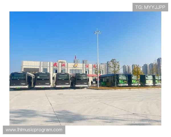 武汉三镇融合发展新格局下城市空间优化与区域协同创新研究 武汉三镇融合发展新格局下城市空间优化与区域协同创新研究